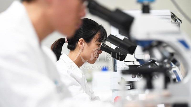 进口分子生物学试剂：如何选择合适的批发供应商**