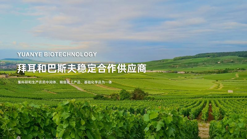 基因检测结果有效期：准确度与时间考量