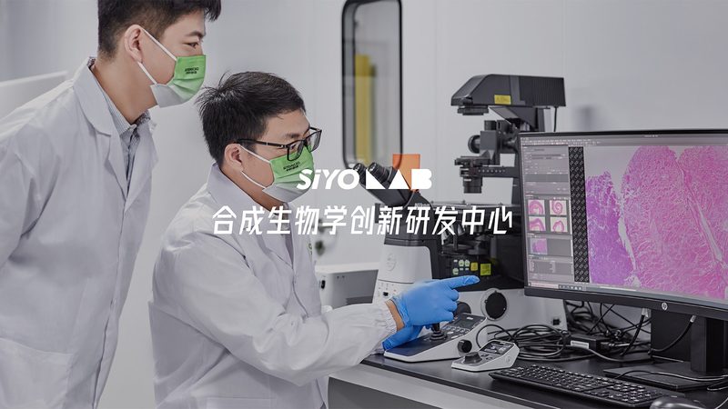 细胞工厂如何选？性价比高的关键要素揭秘