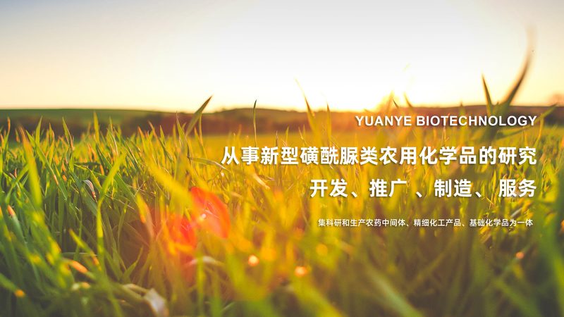 实验室耗材尺寸参数对照表
