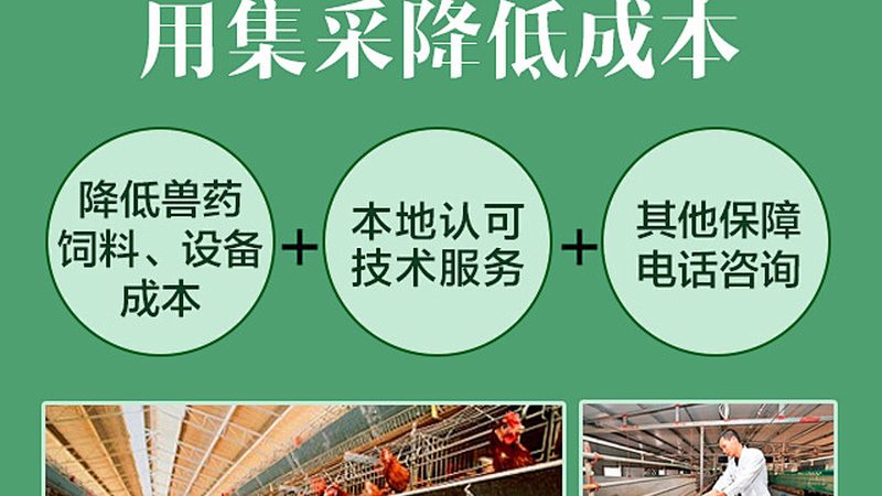 离心管代理区域限制：揭秘背后的合规与市场逻辑**