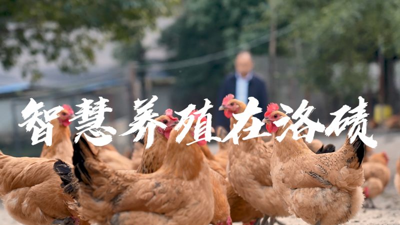 生物制品代理加盟，如何规避潜在风险？**